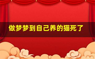 做梦梦到自己养的猫死了