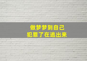 做梦梦到自己犯罪了在逃出来