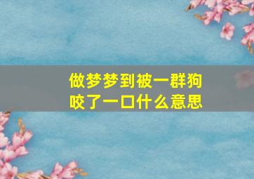 做梦梦到被一群狗咬了一口什么意思