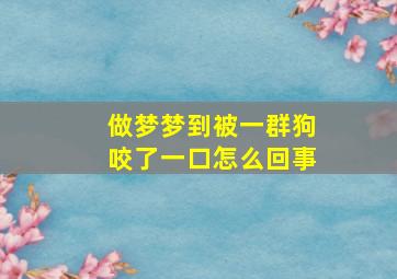 做梦梦到被一群狗咬了一口怎么回事