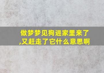 做梦梦见狗进家里来了,又赶走了它什么意思啊