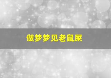 做梦梦见老鼠屎