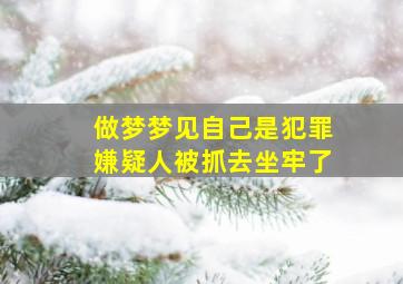 做梦梦见自己是犯罪嫌疑人被抓去坐牢了