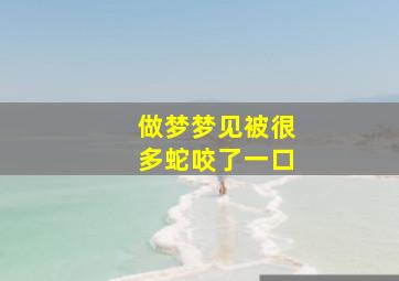 做梦梦见被很多蛇咬了一口