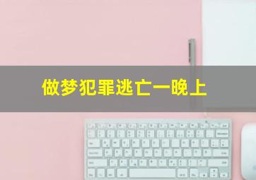 做梦犯罪逃亡一晚上