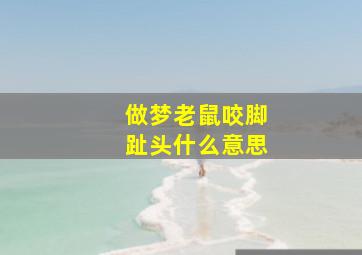 做梦老鼠咬脚趾头什么意思