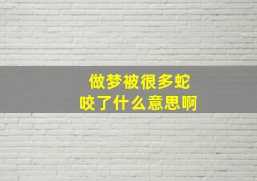 做梦被很多蛇咬了什么意思啊