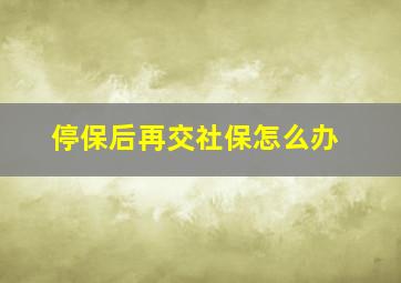 停保后再交社保怎么办