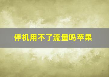 停机用不了流量吗苹果