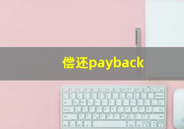 偿还payback