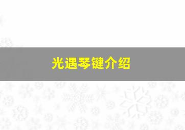 光遇琴键介绍