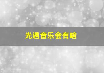 光遇音乐会有啥