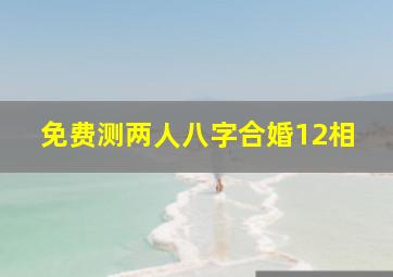 免费测两人八字合婚12相