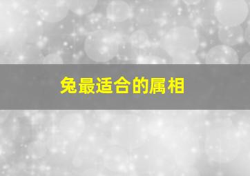 兔最适合的属相