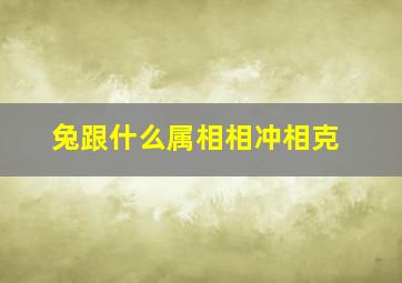 兔跟什么属相相冲相克