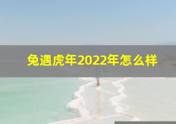 兔遇虎年2022年怎么样