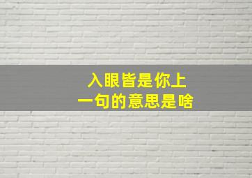 入眼皆是你上一句的意思是啥