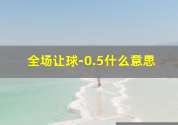 全场让球-0.5什么意思