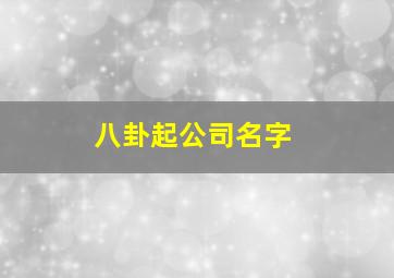 八卦起公司名字