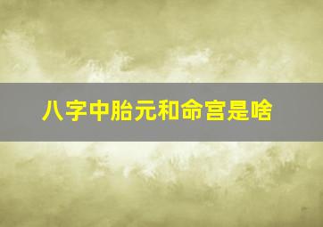 八字中胎元和命宫是啥