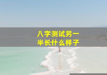 八字测试另一半长什么样子