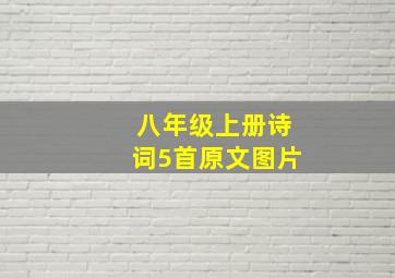 八年级上册诗词5首原文图片