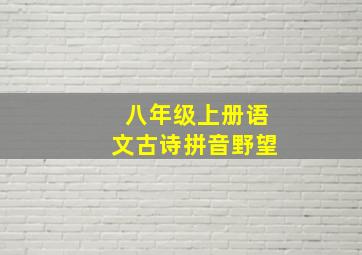 八年级上册语文古诗拼音野望