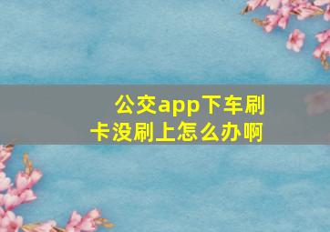 公交app下车刷卡没刷上怎么办啊