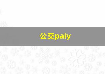 公交paiy