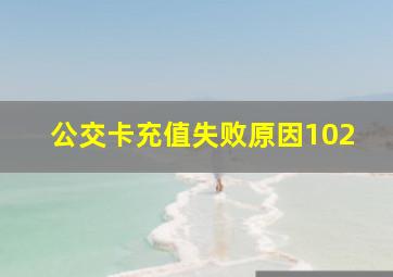 公交卡充值失败原因102