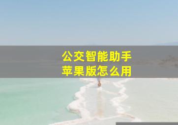 公交智能助手苹果版怎么用