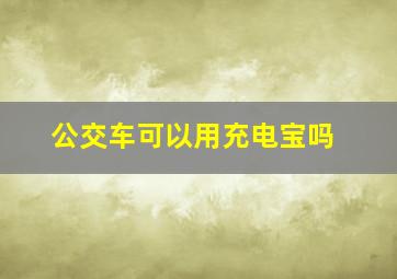 公交车可以用充电宝吗