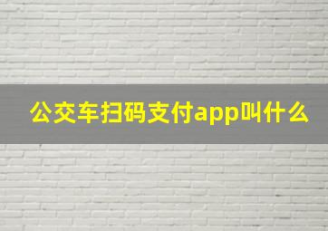 公交车扫码支付app叫什么