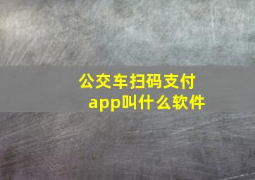 公交车扫码支付app叫什么软件