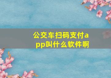 公交车扫码支付app叫什么软件啊