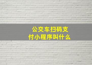 公交车扫码支付小程序叫什么