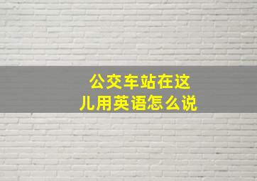 公交车站在这儿用英语怎么说