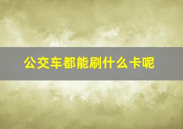 公交车都能刷什么卡呢