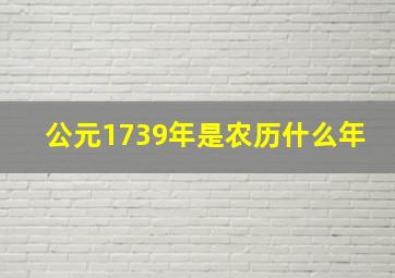 公元1739年是农历什么年