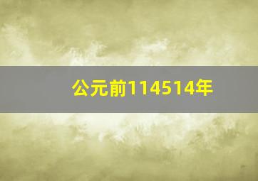 公元前114514年