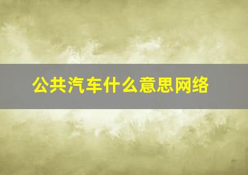 公共汽车什么意思网络