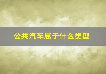 公共汽车属于什么类型