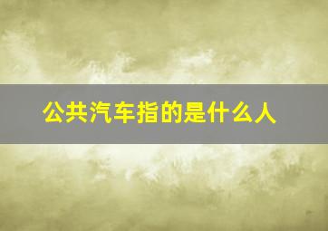 公共汽车指的是什么人