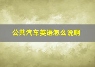 公共汽车英语怎么说啊