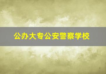 公办大专公安警察学校