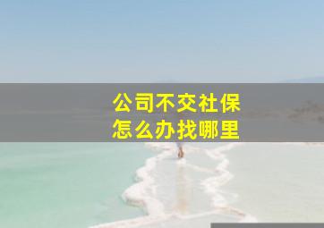 公司不交社保怎么办找哪里