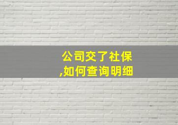 公司交了社保,如何查询明细