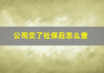 公司交了社保后怎么查