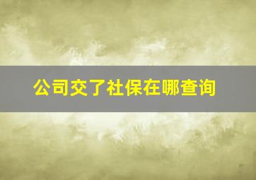 公司交了社保在哪查询