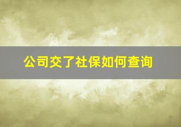 公司交了社保如何查询